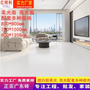 佛山瓷磚超白胚天鵝絨柔光磚750x1500地磚客餐廳地板磚衛(wèi)生間墻磚
