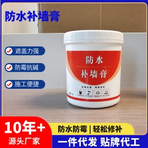 源頭廠家 防水補墻膏 墻面修補白色防水膩子膏 跨境出口