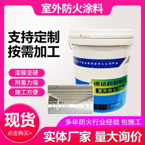 廠家供應(yīng)室外膨脹型鋼結(jié)構(gòu)防火涂料隔熱阻燃薄型耐高溫耐火