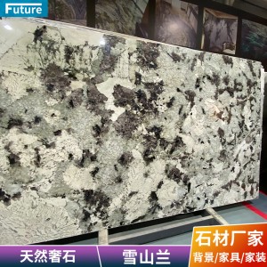 奢石彩色天然大理石雪山蘭客廳背景墻現(xiàn)代簡約臺面島臺別墅衛(wèi)生間