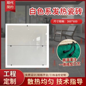 白色系發(fā)熱瓷磚300*600廣東佛山室內(nèi)純白防滑發(fā)熱地板磚