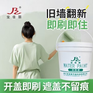 內(nèi)墻涂料乳膠漆室內(nèi)清新凈味防霉環(huán)保水性墻面漆家用自刷墻 漆跨境