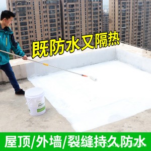 屋頂補漏防水材料樓頂房頂平房樓面房屋漏水防漏涂料堵王裂縫膠水